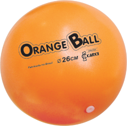 20250616-1757-10623-Orange-Ball--Bola-Laranja--para-Pilates-e-Fitness4620.png